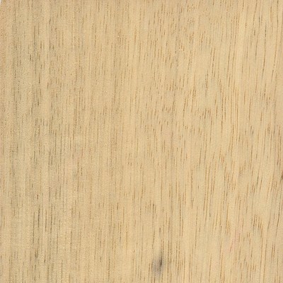 Limba wood grain